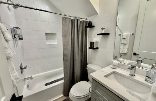 Houston- Downtown, NRG, Med Center, City Views, U of H & TSU, Rodeo - Photo 39