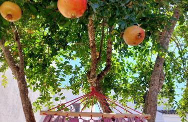 "Casa Oliveiras" studio avec terrasse et piscine - Foto 48