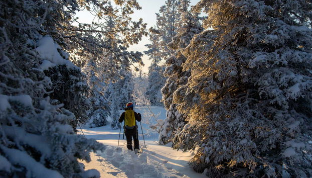Pallas-Yllästunturi National Park Snowshoe Tour - Foto 4