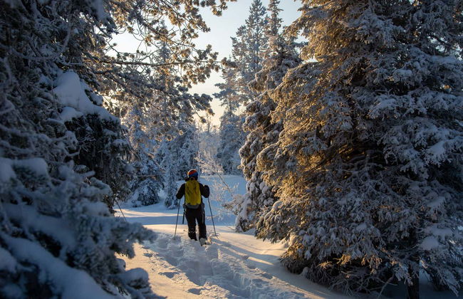 Pallas-Yllästunturi National Park Snowshoe Tour - Photo 9