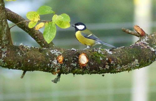 Sunset View one bedroom luxury cottage in an idyllic setting - Foto 68