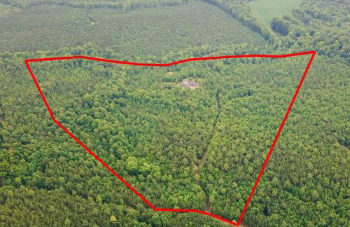 Deerwood Retreat - Foto 1