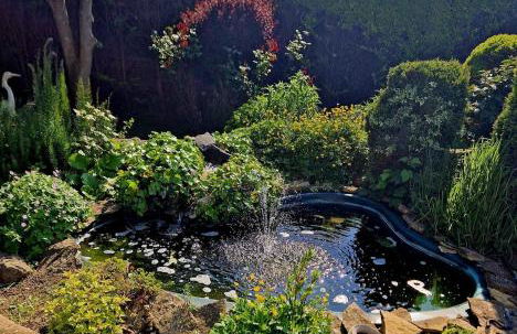 The Willow Tree Lodge - Foto 8