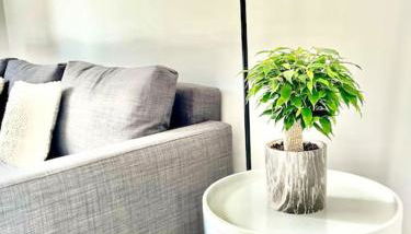 Le Loft de Barbizon - Foto 5