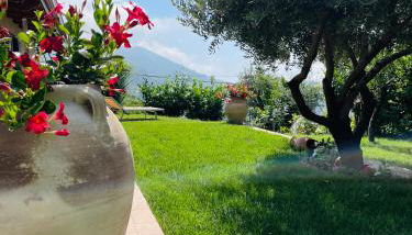 Connie's Home - Foto 5