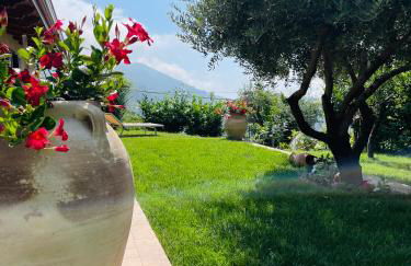 Connie's Home - Foto 5