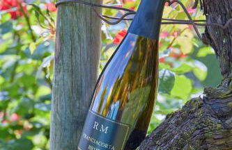 Villa Milesi in Franciacorta - Foto 14