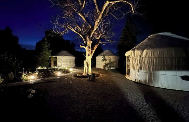 Kastanienhof Erfurt - Foto 77