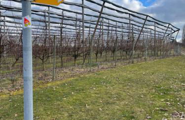 Ferienhaus Apfelblüte by Heinke Wohnraum - Foto 39