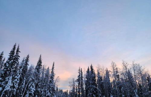 Pine Mountain Club Family Vacation House - Foto 9