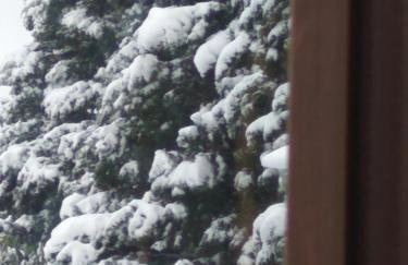 Guesthouse Papagiannopoulou - Foto 11