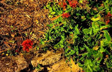 Appartement 91 Palais des Gouverneurs Jardin Piscine couverte et exterieure Sauna Hammam Fitness Clim - Foto 73