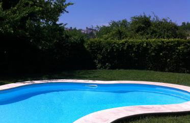 Horta dos Cedros - Foto 77