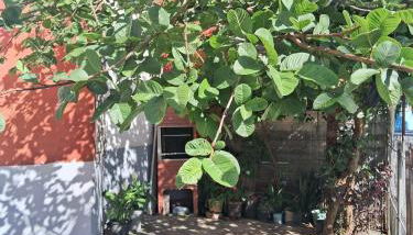 Ground floor apartment - Foto 4