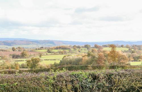 The Walton - Foto 35