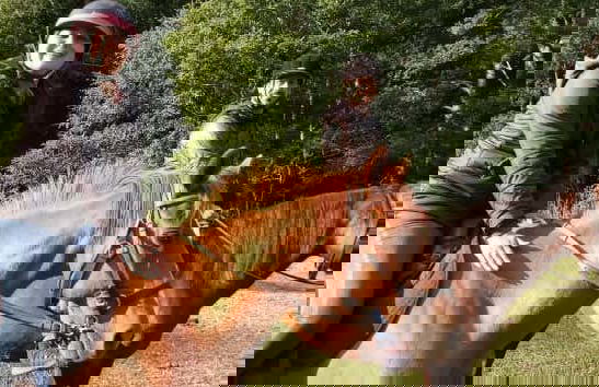 Paseo a caballo por las orillas del río Liucura - Foto 6