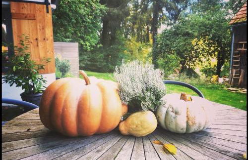 Tiny House mit eigener Sauna am Waldrand in der Fränkischen Schweiz - Foto 57