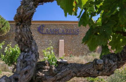 Au coeur des vignes, à deux pas de la mer - Foto 10