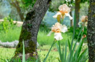 Borgo Argiano - Photo 116