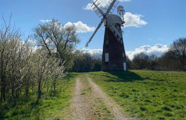 Wood Place - Foto 47