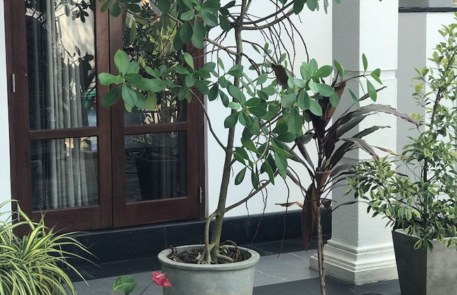 Villa Pearl Breeze - Photo 14