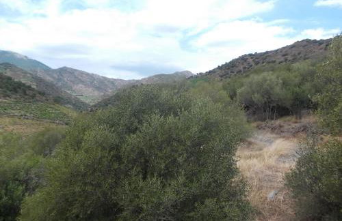 Magnifique villa piscine billard Great villa swimming pool - Foto 29