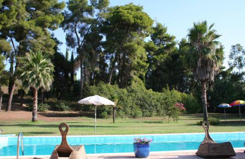 Terry Land Village - Foto 79