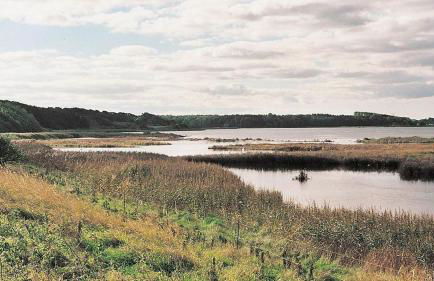 Hof Goosend - Urlaub an der Ostsee & Schlei - Foto 38
