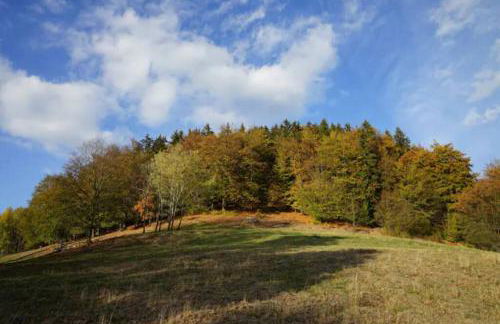Ruhiges Ferienhaus am Waldrand mit Sauna und Kamin - Hellaberg II - Foto 36