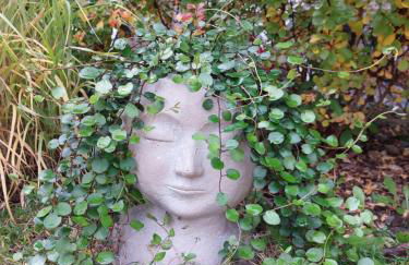 Ferienwohnung "Alte Mühle" - Foto 30