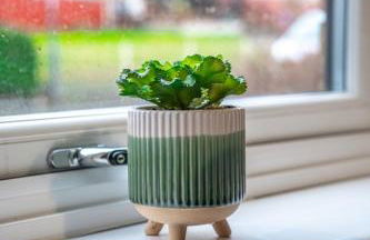 Bonnie Apartment - Foto 7