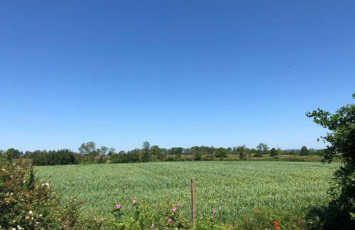 Am Achterwasser DORF 12 - Foto 55