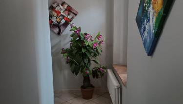 Camera onlysleep - Foto 5