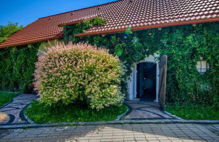 Siedlisko Tros - Foto 50