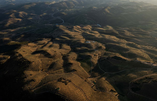 Golden House - Foto 41