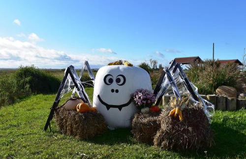 Ferienwohnung auf Insel Poel - Foto 62