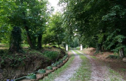 Casa "Dolina Kraljevac" - Foto 21