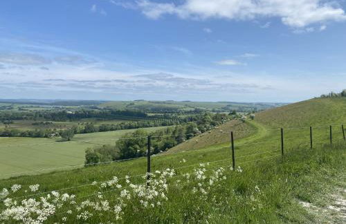 Dovehayes Cottage - Foto 40