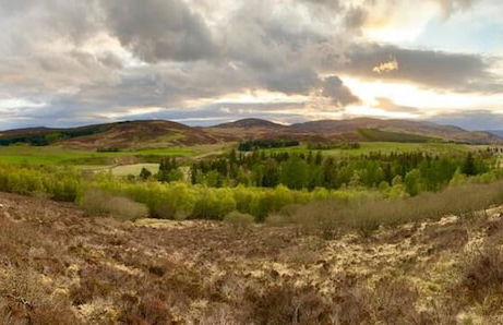 Tranquil Glenshee Cottage Retreat - Photo 3