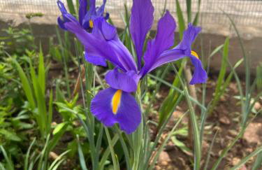 Sunny house at ancient Mycenae, close to Nafplio! - Foto 65