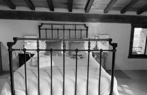 La Grulla Gris - Foto 3