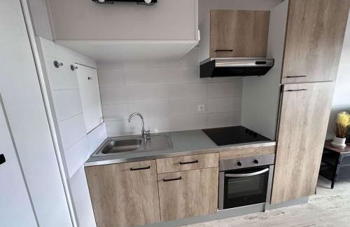Bel appartement rénové 2 pièces avec clim et parking privé pour 4 personnes à Port Camargue - FR-1-731-153 - Photo 13