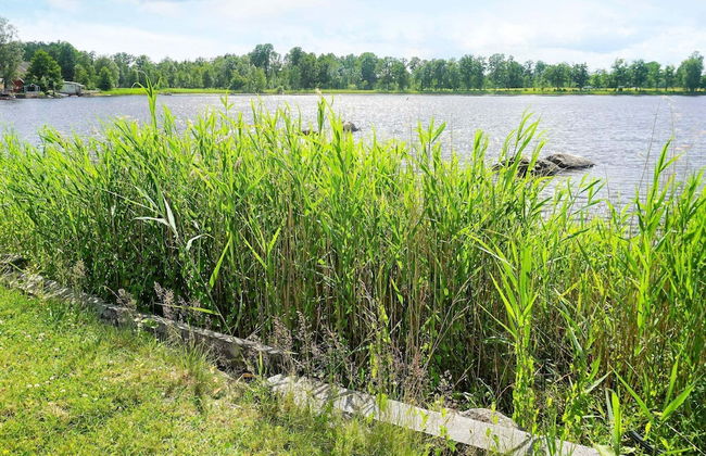 5 Person Holiday Home in Tingsryd - Foto 24