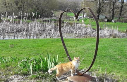 Gîtes à l'ombre des chênes - Foto 77