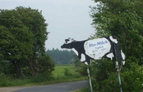 Midlum Stieglitz - Foto 17