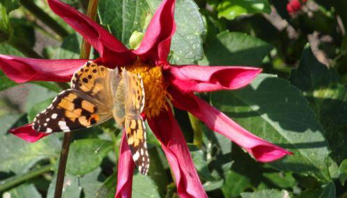 3 Sterne FH Fürstenwalde - Foto 5