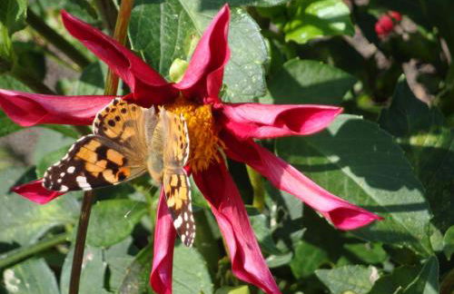 3 Sterne FH Fürstenwalde - Photo 5