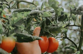 Vila hangloose vista da lagoa - Foto 38