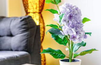 Jungle House Columbus Downtown Free Parking Sleeps 6 - Steps to Convention Center & Nationwide Arena - 1BR Short North Luxury Home - Over 5,800 Five Star Stays - Foto 12