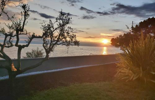 Villa Lucia Umag - Photo 48